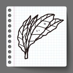 plant doodle N125