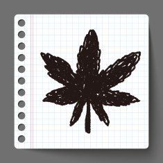 plant doodle N126