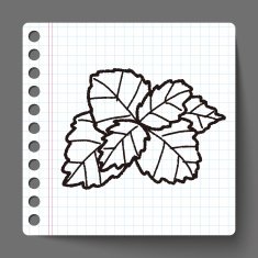 plant doodle N127