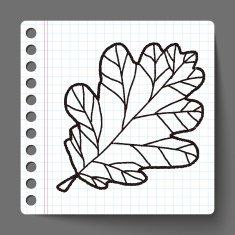 plant doodle N135