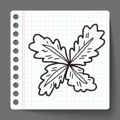 plant doodle N138