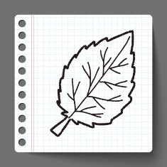 plant doodle N141