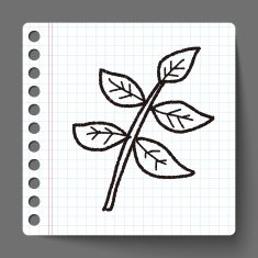 plant doodle N142