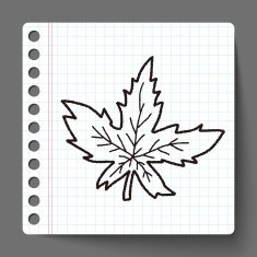 plant doodle N143