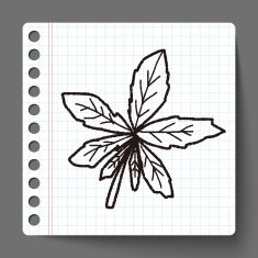 plant doodle N144