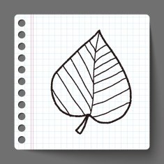 plant doodle N145