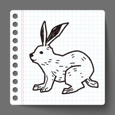 rabbit doodle N12