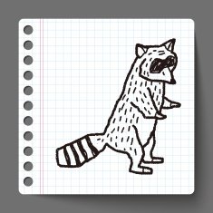 raccoon doodle N3