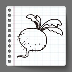 Radish doodle N3