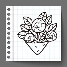 rose flower doodle N8