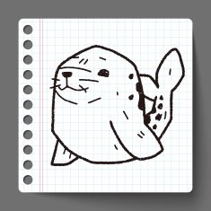 seal doodle N2