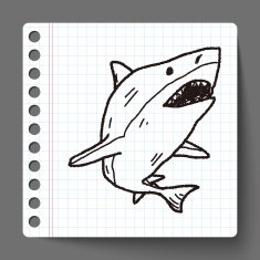 shark doodle N5