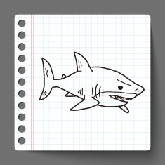 shark doodle N6