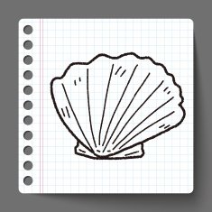 Shell doodle N11
