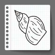 Shell doodle N15