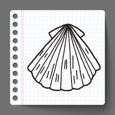 Shell doodle N16