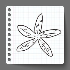 Starfish doodle N4