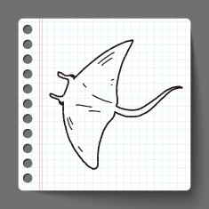 Stingray doodle N2