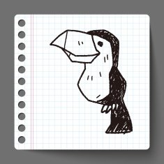 toucan doodle N2