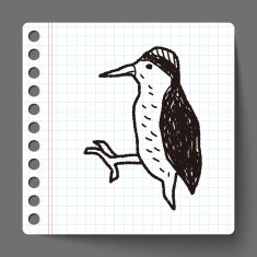 woodpecker doodle N2
