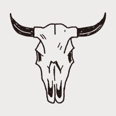 cow skull doodle N3