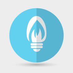 Light bulb vector icon on a white background N8