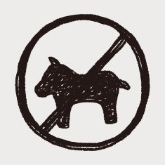 no dog doodle N3
