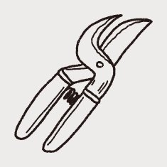 scissor doodle N9