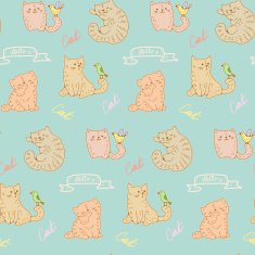 cats N24