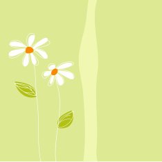 Floral Greeting Card N6