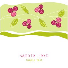Floral Greeting Card N14