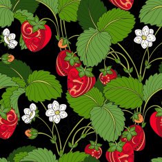 Vector Seamless Colored Fruit Pattern N4