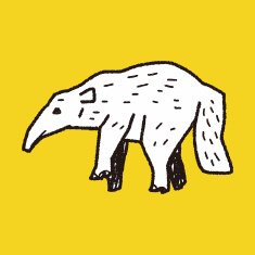 anteater doodle N2