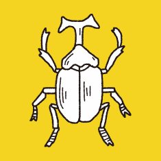 beetle doodle N12