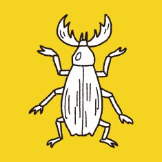 beetle doodle N13