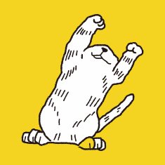 cat doodle drawing N46