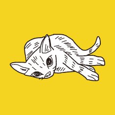 cat doodle drawing N49