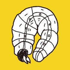 caterpillar doodle N11