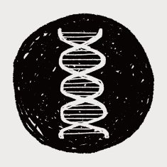 Doodle Gene N4