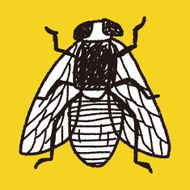 fly bug doodle N5