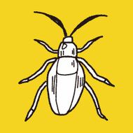 insect doodle N16