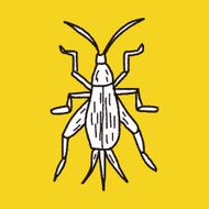 insect doodle N18