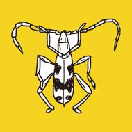 insect doodle N20