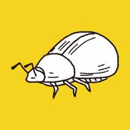 insect doodle N21