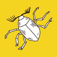 insect doodle N23