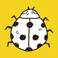 Ladybug doodle N5