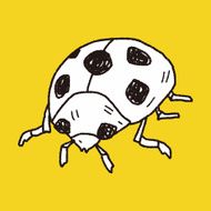 Ladybug doodle N6