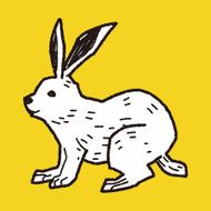 rabbit doodle N15