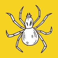 spider doodle N9