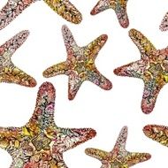 Ornamental Starfish Pattern